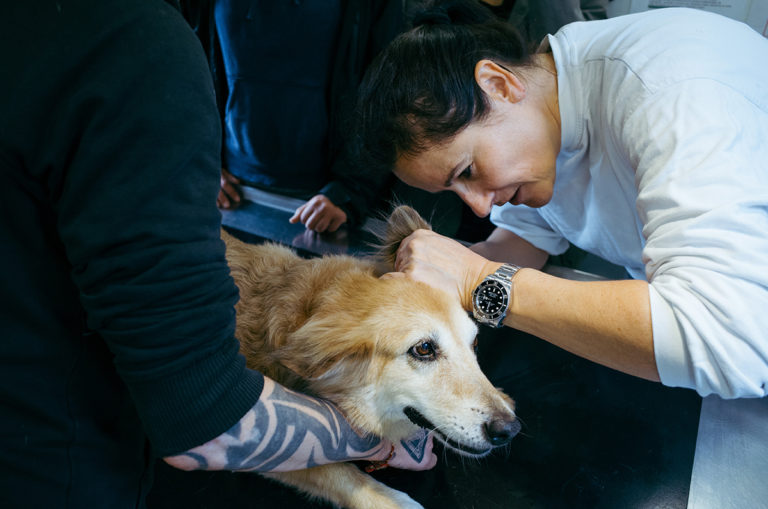 Pilotprojekt &quot;Hund und Herrchen&quot; gestartet Kein AIDS für alle